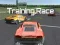 Gioco Training Race in linea