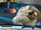 Gioco Space Find The Differences in linea