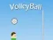 Gioco VolleyBall in linea