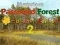 Gioco Mysterious Password Forest Autumn Edition 2 in linea