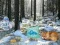 Gioco Winter Wonderland Forest Adventure in linea
