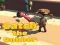Gioco Catsh the robber in linea