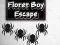 Gioco Floret Boy Escape in linea