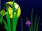 Gioco Flash Fish Freddie in linea