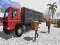 Gioco Asian offroad cargo truck driver in linea