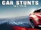 Gioco Car Stunts Sky Tour in linea