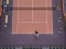 Gioco Tennis Love in linea