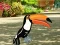 Gioco Find Woodpecker Pair in linea