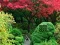 Gioco Maple Leaf Garden Escape in linea