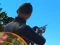 Gioco Shadow Hunter in linea