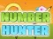 Gioco Number Hunter in linea
