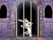 Gioco Victory Rabbit Escape in linea