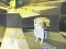 Gioco Kogama: Adventure in linea