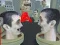 Gioco 2 Player: Skibidi Toilet Fight in linea