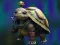 Gioco Isolated Turtle Escape in linea