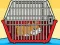 Gioco Rescue The Hamster From Cage in linea