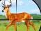 Gioco Wild Hunt Hunting Games 3D in linea