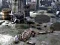 Gioco Friends Rescue From Skeleton in linea