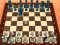 Gioco Chess Master 3D in linea