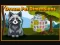 Gioco Dream Pet Dimensions in linea