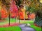 Gioco Butterfly Family Escape in linea