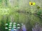 Gioco Sunlight Forest Adventure in linea