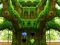 Gioco Frenzy Crocodile Escape in linea