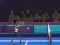Gioco Badminton Brawl in linea