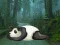 Gioco Wakeup The Sleeping Panda in linea