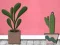Gioco Find Houseplant in linea