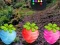 Gioco Escape From Fascinated Jungle in linea