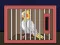 Gioco Release The Cockatiel Bird in linea