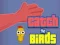 Gioco Catch the Birds in linea