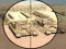 Gioco Camo Sniper in linea