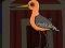 Gioco Cute Godwit Escape in linea