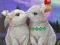 Gioco Rescue The Cupid in linea