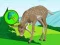 Gioco The Deer Meadow Escape in linea