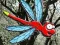 Gioco Escape From Dragonfly Forest in linea