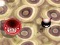 Gioco Bouncing Blob in linea