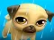 Gioco My Virtual Pet Louie the Pug in linea
