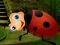 Gioco Rescue The Couple Bug in linea