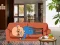 Gioco Wakeup The Grandpa in linea