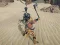 Gioco The Scythian Warrior in linea