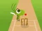 Gioco Doodle Cricket in linea