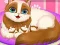 Gioco Cute Kitty Pregnant in linea