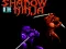 Gioco Shadow of the Ninja in linea