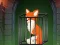 Gioco Fox in the Forgotten Ruins in linea