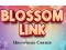 Gioco Blossom Link in linea