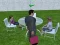 Gioco Millionaire Simulator 2024 in linea