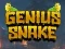Gioco Genius Snake in linea